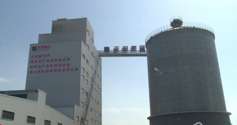 沙洋(yang)正邦現代(dai)公司